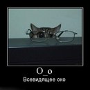 Фотография Жуковой Инны