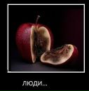 Тарас Кіт фотография #36 (источник - https://vk.com/id19163413)