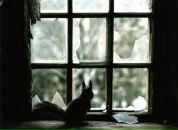 Фотография Богачевой Оксаны