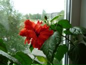 Фотография Гордеевой Татьяны