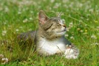 Фотография Ивановской Любови