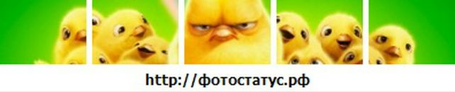 Настя Студзінська фотография #10 (источник - https://vk.com/id77719695)