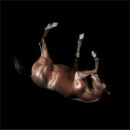 Фотография Моховой Полины