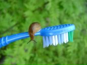 Фотография Казанской Марии