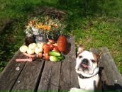 Фотография Макаровой Ольги