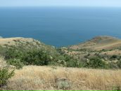 Пабло Пых фотография #35 (источник - https://vk.com/id1205765)