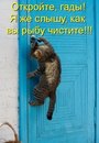 Танюша Ціпура фотография #21 (источник - https://vk.com/id142305645)