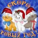 Іринка Ярмолюк фотография #25 (источник - https://vk.com/id147113231)