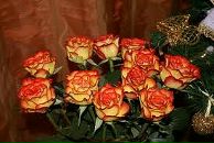 Софія Манич фотография #10 (источник - https://vk.com/id81973246)