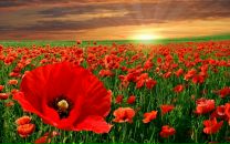 Іра Гудзій фотография #14 (источник - https://vk.com/id46904317)