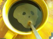 Фотография Воронкова Дмитрия