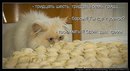 Фотография Наймушиной Виктории