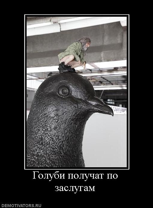 Леонид Субботин фотография #26