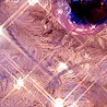 Катя Ходаківська фотография #22 (источник - https://vk.com/id141582298)
