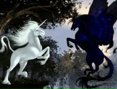 Фотография Ozmanyan Aziz