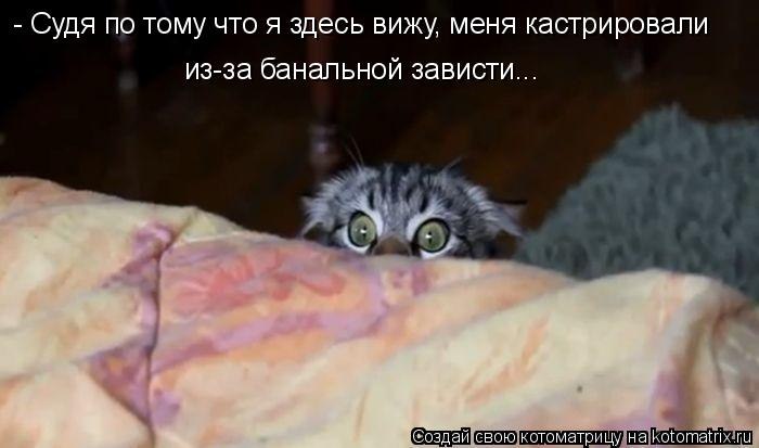 Ирина Левченко фотография #26