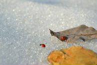 Віктор Боричевський фотография #5 (источник - https://vk.com/id13973669)