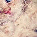 Іринка Ярмолюк фотография #44 (источник - https://vk.com/id147113231)