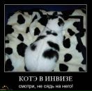 Фотография Граттоль Астория