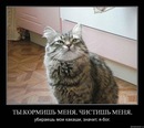 Іванка Парова фотография #11 (источник - https://vk.com/id113515923)