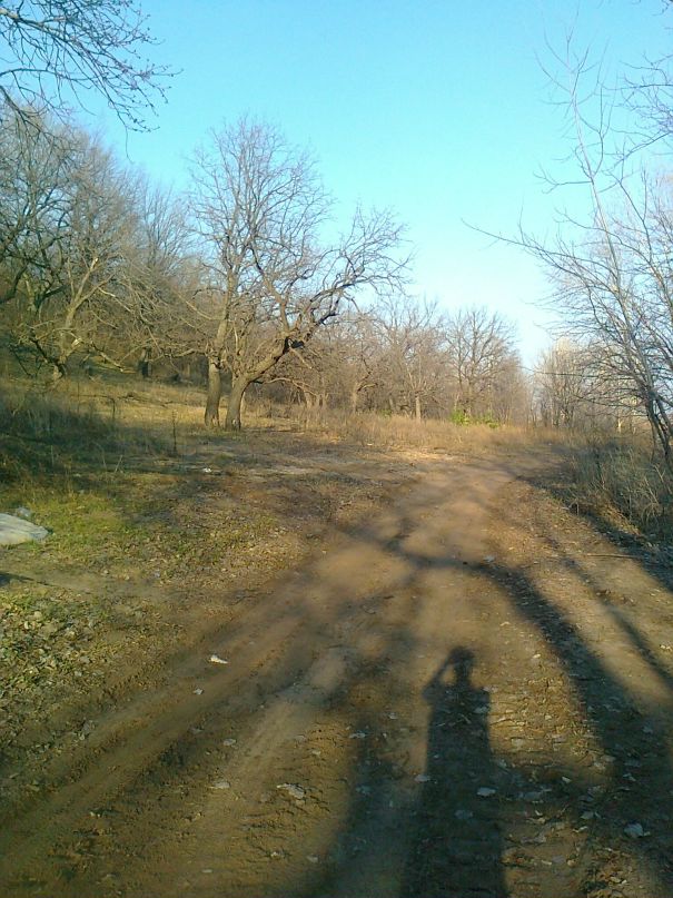 Дмитрий Лысов фотография #30