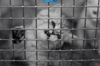 Фотография Режаметова Бахтияра