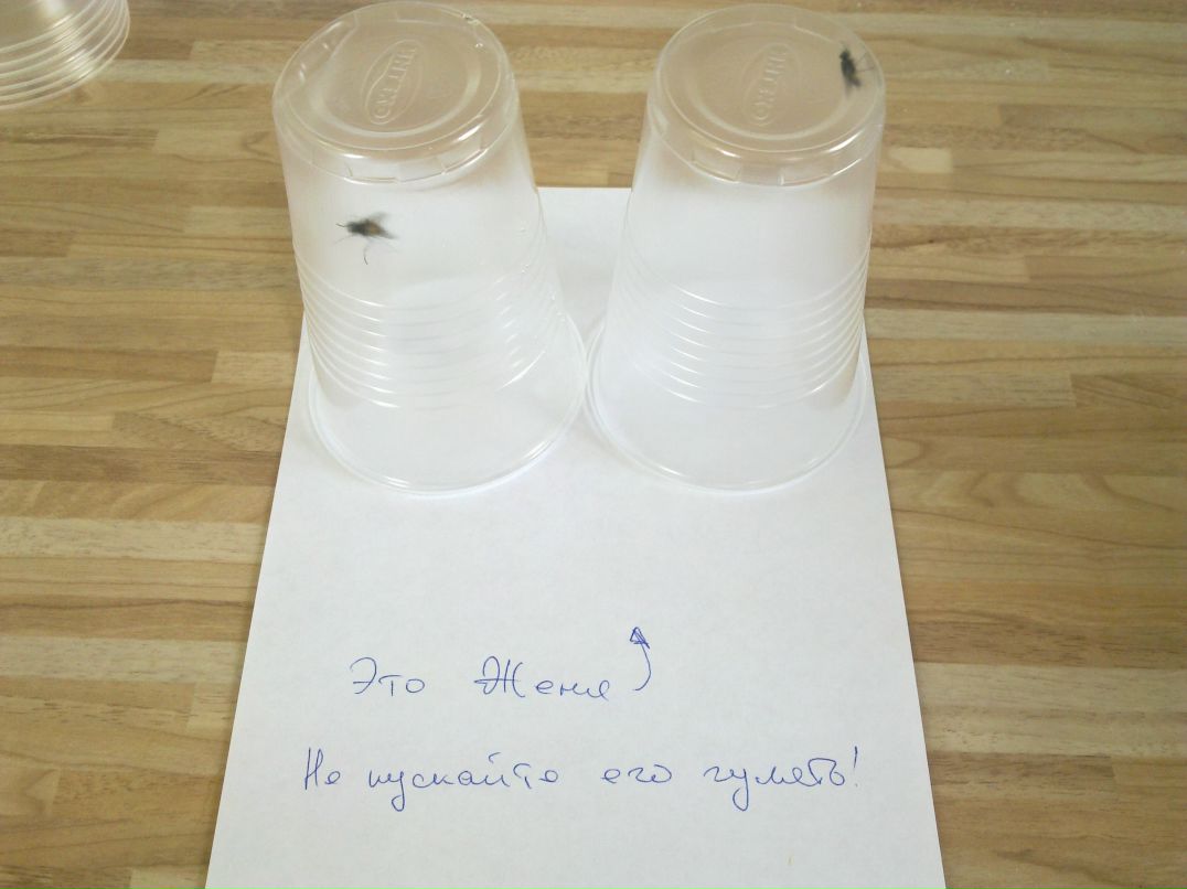 Федор Матвеев фотография #34