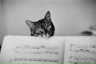 Фотография Алешиной Ольги