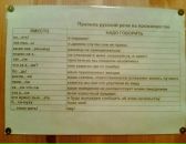 Ольга Иванова фотография #18 (источник - https://vk.com/id6002168)