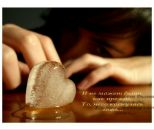 Фотография Берещанской Вероники