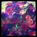 Софья Гаспарян фотография #34 (источник - https://vk.com/id1464692)