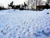 Иван Пожога фотография #38 (источник - https://vk.com/id83871113)