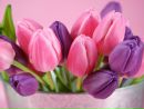 Фотография Филипской Катерины