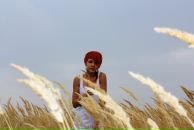 Фотография Десятниковой Марины