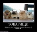 Олег Станіславчук фотография #9 (источник - https://vk.com/id28035913)