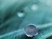 Соломія Лібер фотография #9 (источник - https://vk.com/id119084317)