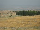 Anthony Gorelov фотография #36 (источник - https://vk.com/id2152167)