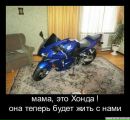 Ростік Плахов фотография #9 (источник - https://vk.com/id19198271)