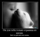 Оксана Євтушик фотография #34 (источник - https://vk.com/id23529477)