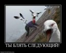 Алексей Антоненко фотография #37 (источник - https://vk.com/id11280778)