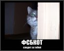 Фотография Фадеева Алексея