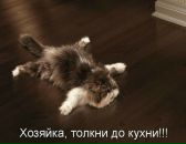 Фотография Орловой Ирины