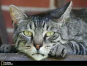 Фотография Илларионова Игоря