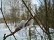 Фотография Лукиной Ольги