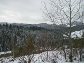 Віктор Петушков фотография #36 (источник - https://vk.com/id10859239)