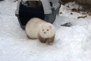 Фотография Денисовой Елены