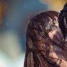 Денис Попов фотография #28 (источник - https://vk.com/id117542084)