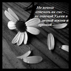 №4, Маріка Намчук №4, Маріка Намчук