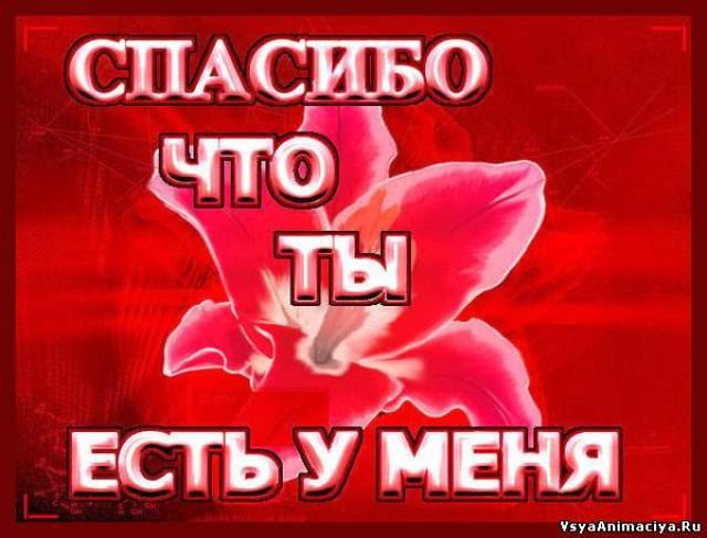 Тёма Долматов фотография #17