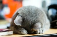 Наталя Матвіїв фотография #33 (источник - https://vk.com/id125238406)